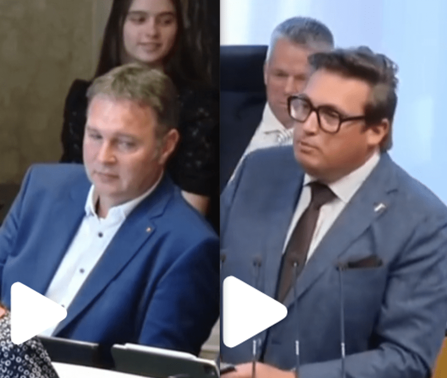 TikTok-Hit: Babler nickt im Bundesrat ein