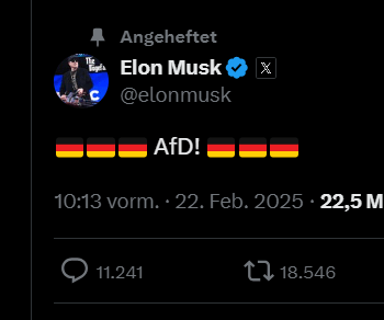 Trumps Berater Elon Musk: So radikal wirbt er für die AfD