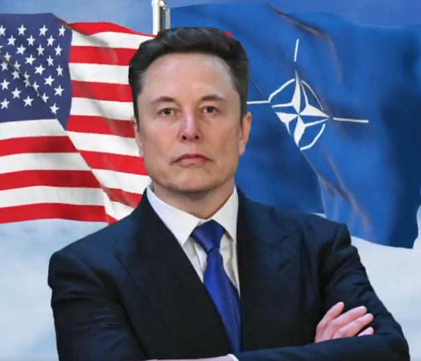 Trumps Berater Musk: USA soll raus aus der NATO