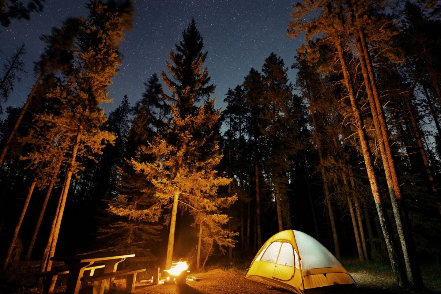 Warum verschwinden so viele Menschen in Nationalparks?
