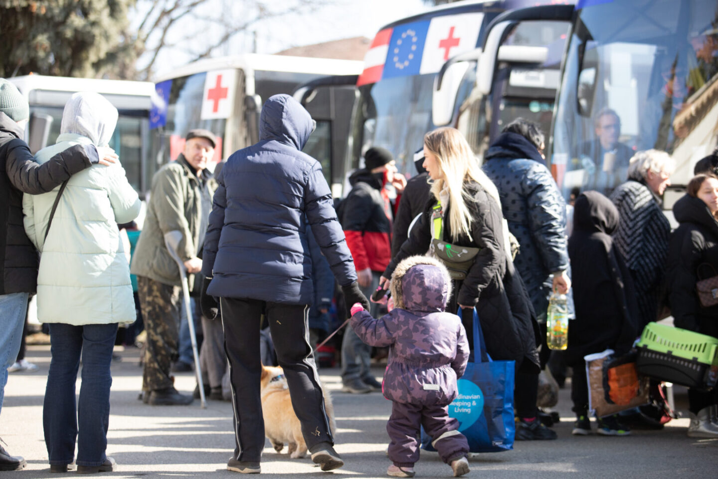 Neue Koalition: Ukraine-Flüchtlingen sollen Extra-Leistungen gestrichen werden