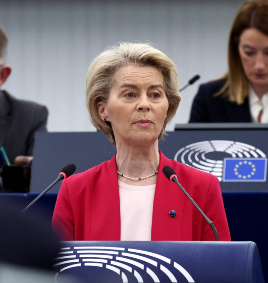 Keine genauen Daten: NGOs kassieren von EU 7,4 Milliarden Euro