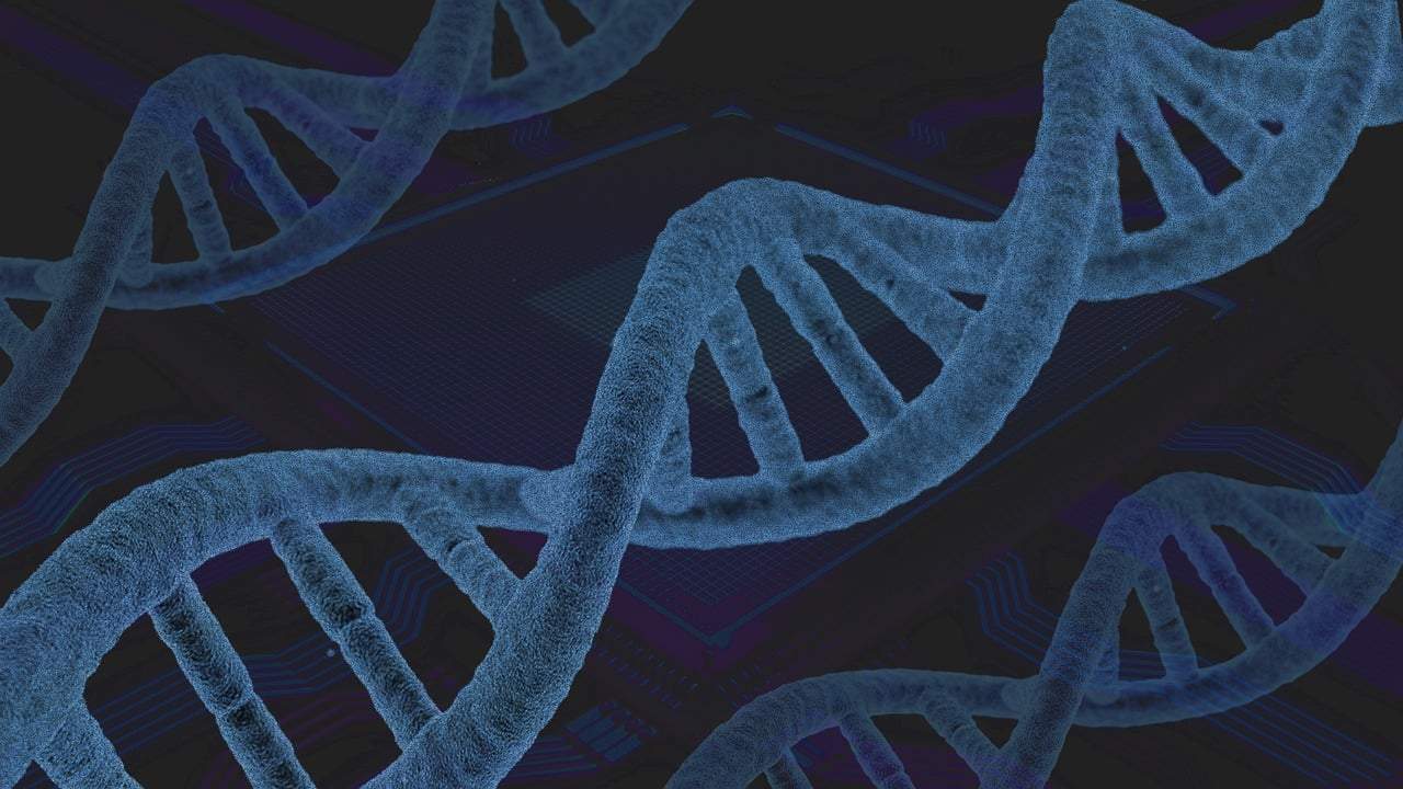 Alarm: China und Russland könnten DNA von Millionen US-Bürgern erwerben