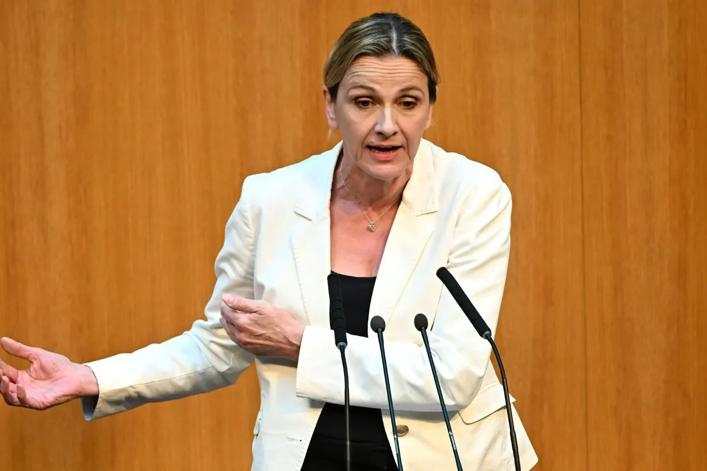 „Österreich zahlt die Zeche!“ – FPÖ kritisiert Regierung