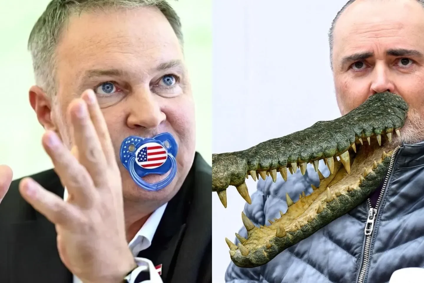 Ein satirischer SPÖ-Blumenstrauß  