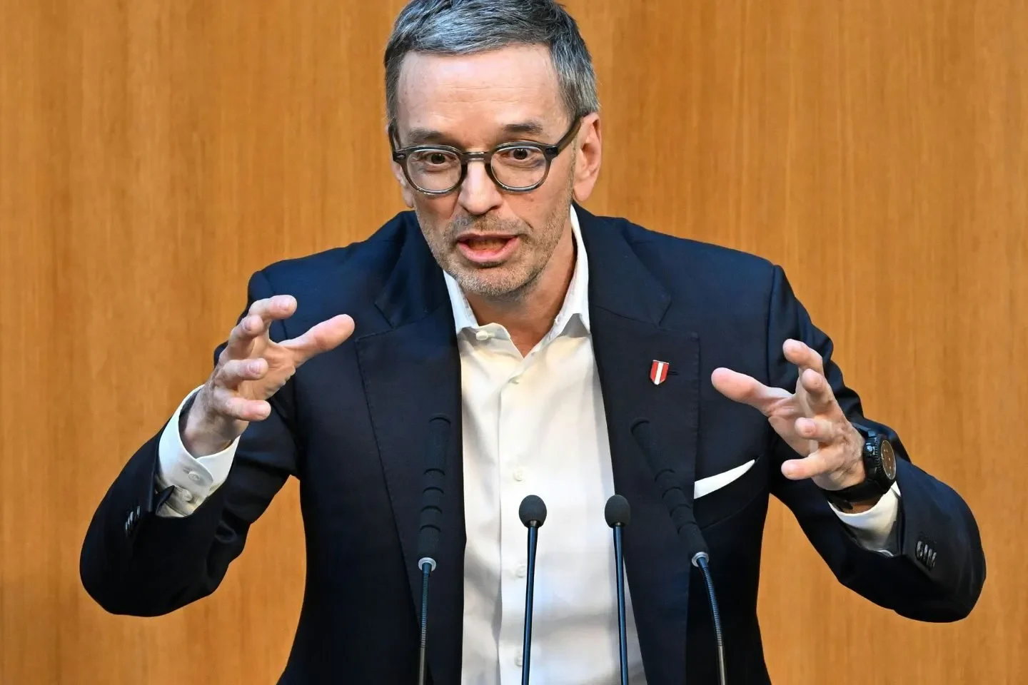 Kickls Weg ins Kanzleramt: Haiders Fehler vermeiden — und Kurz als Partner einplanen