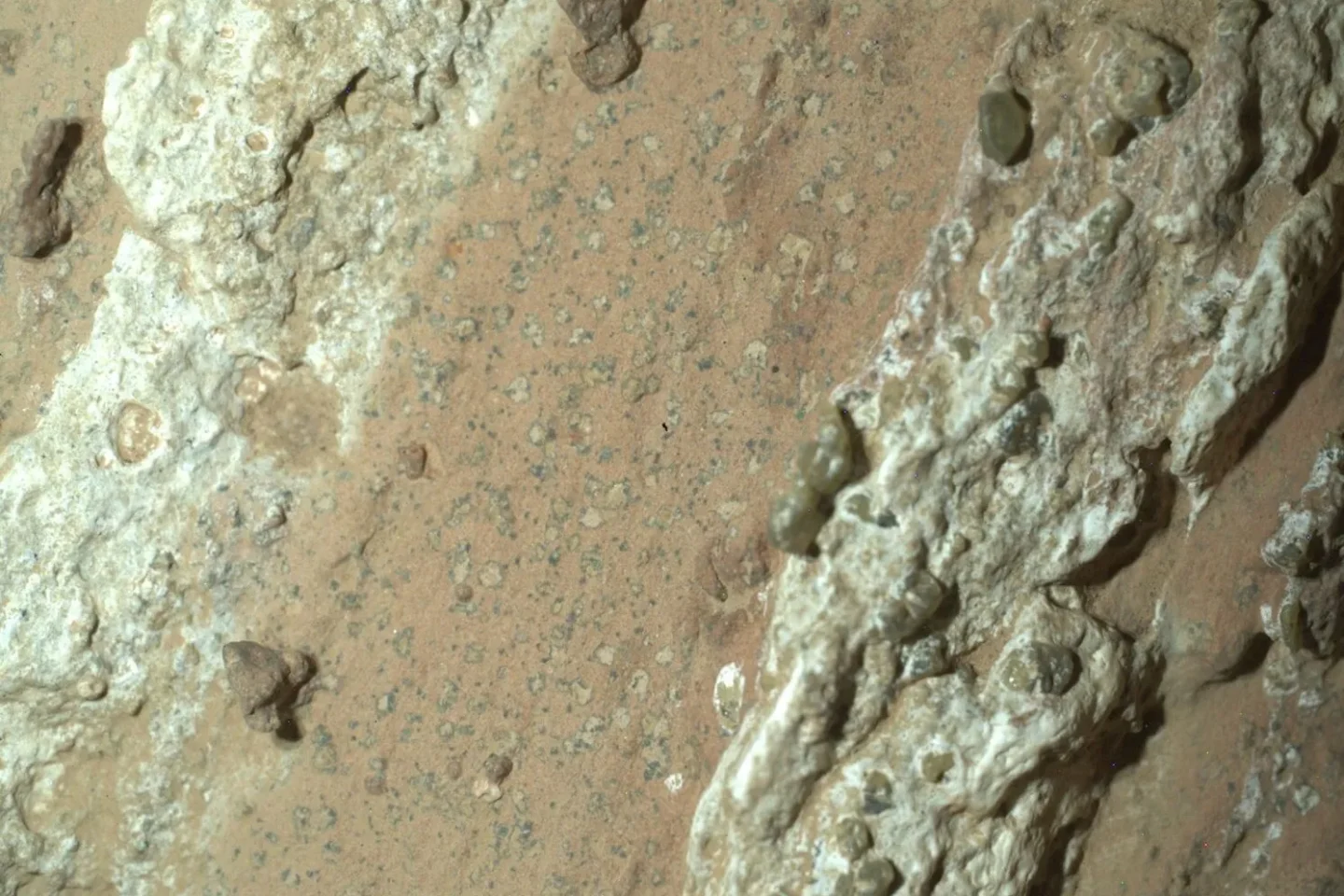 Mars-Sensation: NASA entdeckt Hinweise auf Leben