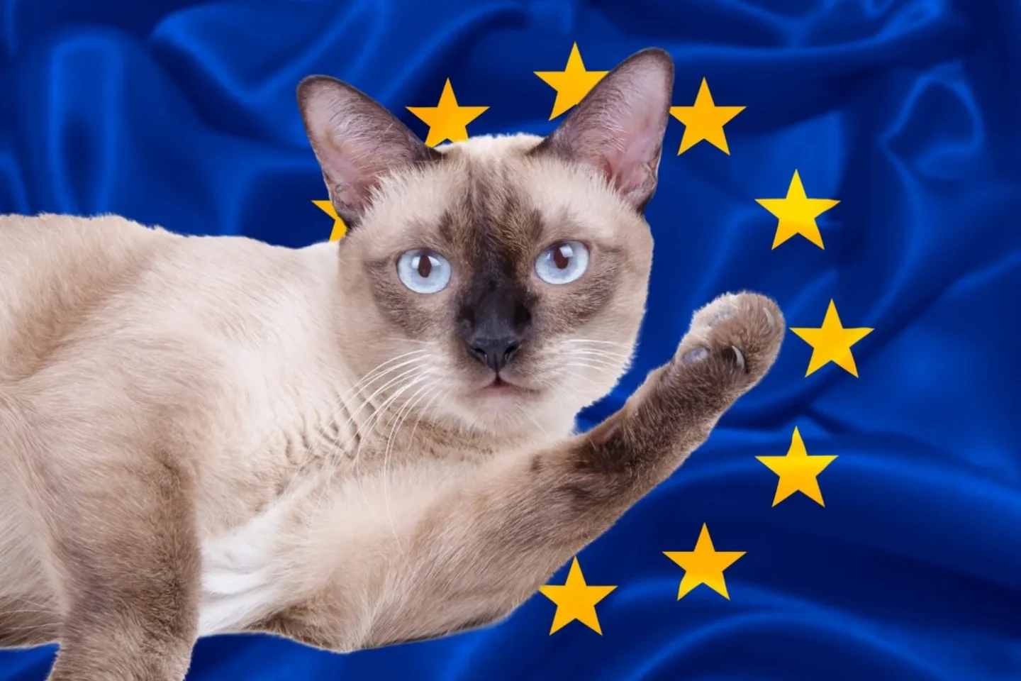 EU-Regulierungen im Fokus: Katzen-Chips und andere Kuriositäten – Wo bleibt der Hausverstand?