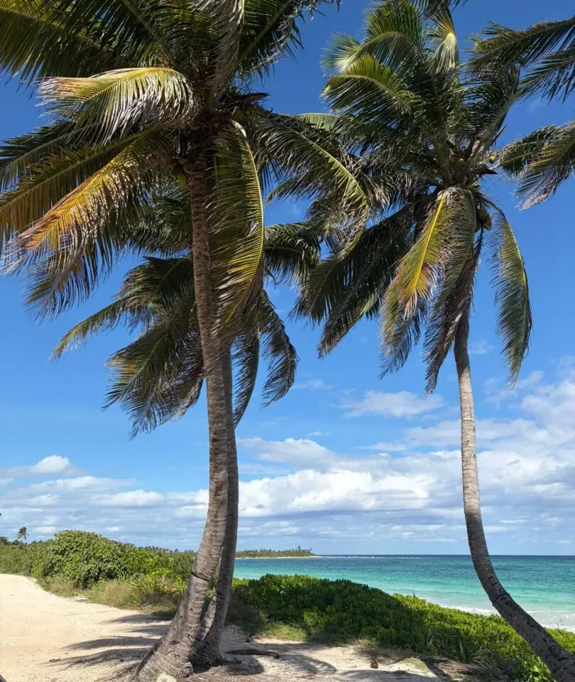 Tulum, Mexiko: Luxus, Dschungel und der Puls der Riviera Maya