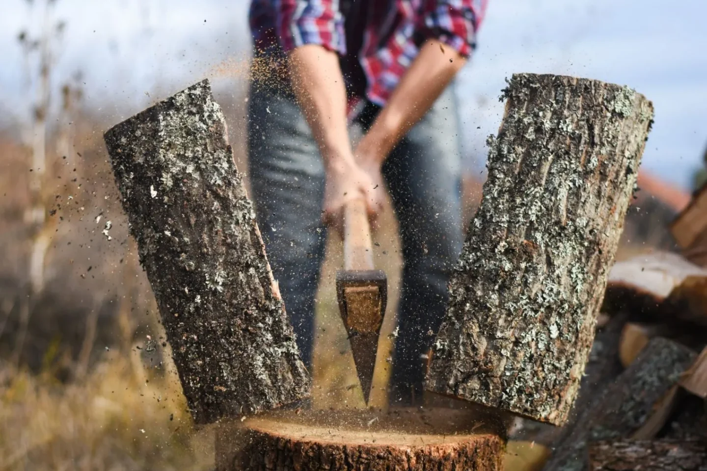 Holzpreise auf Rekordniveau: Wenn Schadholz-Mangel zum Problem wird