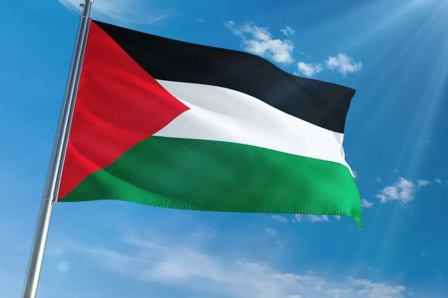 „Free Palestine“ als Deckmantel: Undercover-Journalistin deckt Antisemitismus in linken Bewegungen auf