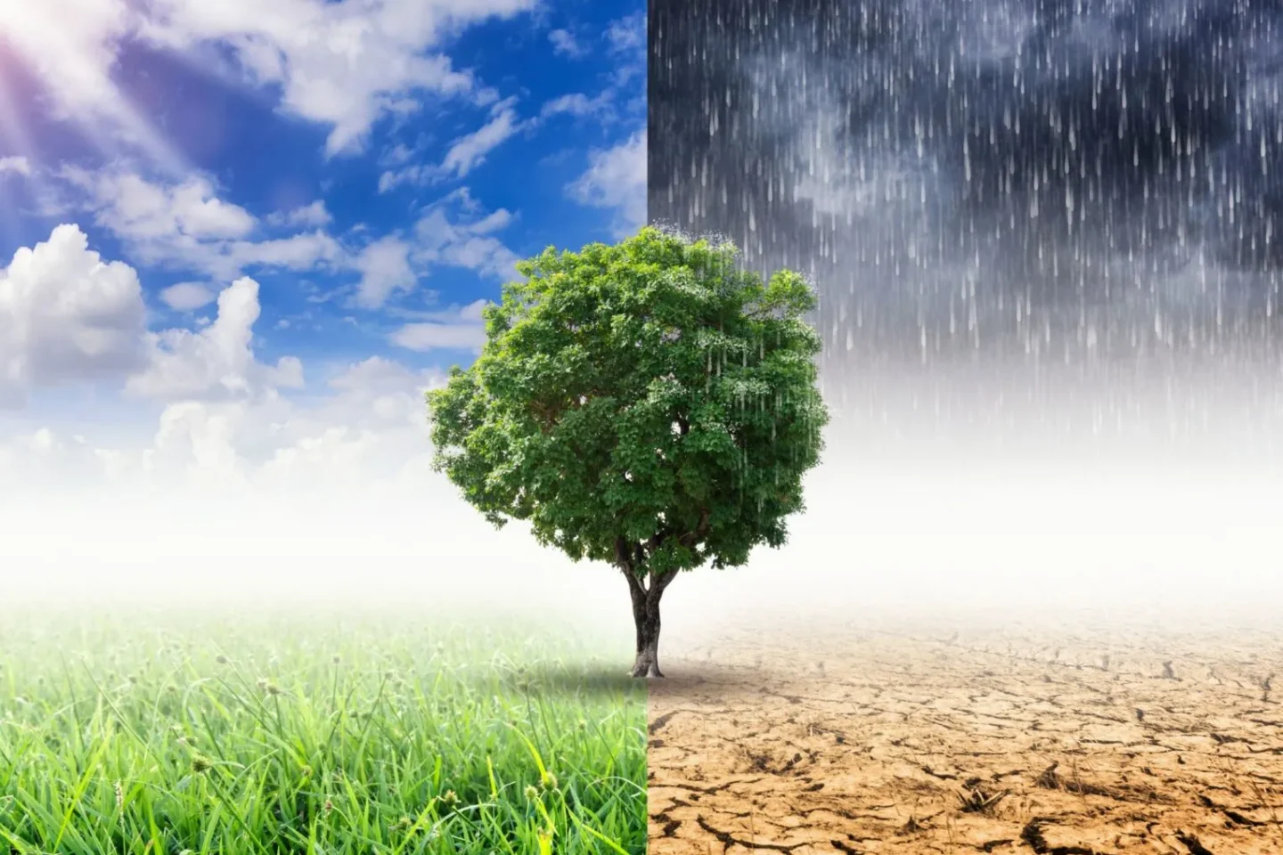 OECD-Bericht: Österreich verfehlt Klimaziele – bis zu 9,5 Milliarden Euro Strafkosten drohen
